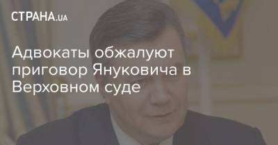 Адвокаты обжалуют приговор Януковича в Верховном суде