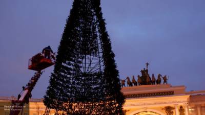 Новогоднюю елку для Дворцовой площади выберут жители Петербурга