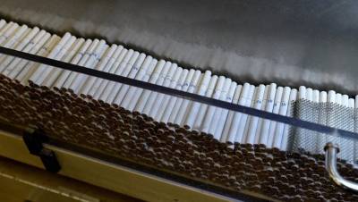 Счётная палата прогнозирует рост табачного контрафакта из-за акциза
