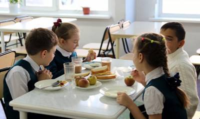 Владимир Путин поручил Роспотребнадзору и полпредам проверить качество школьного питания