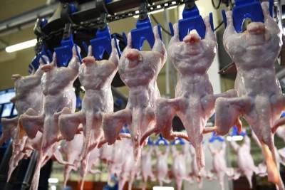 Экспорт мяса птицы из РФ в этом году впервые превысит его импорт