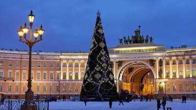 В Петербурге началось голосование по выбору главной новогодней ёлки