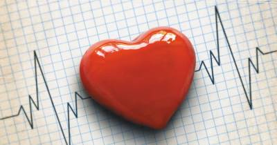 Ученые с точностью до атомов смоделировали работу сердца