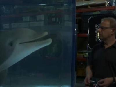 В одном из американских аквапарков тестируют робота-дельфина