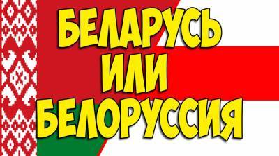 Стариков: «Беларусь» – такое же извращение, как и «в...