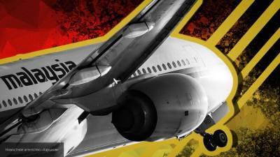 Европолитики умышленно затягивают выводы по крушению малайзийского Boeing