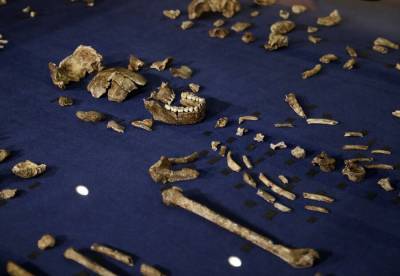 Ученые обнаружили причину вымирания других видов древних людей