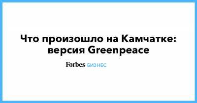 Что произошло на Камчатке: версия Greenpeace