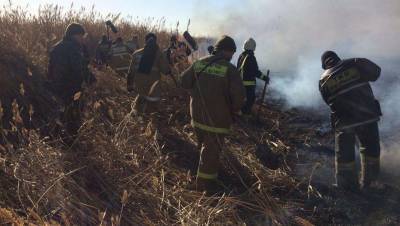 Спустя пять дней в Атырауской области потушили крупный пожар камышовых зарослей