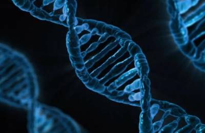 Ученые выяснили механизм защиты ДНК от повреждений