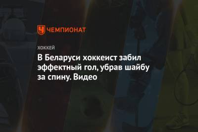 В Беларуси хоккеист забил эффектный гол, убрав шайбу за спину. Видео