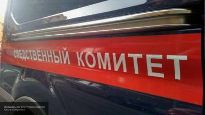 СК возбудил уголовное дело после пропажи 12-летней девочки в Москве