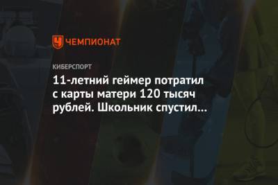 11-летний геймер потратил с карты матери 120 тысяч рублей. Школьник спустил деньги на игры