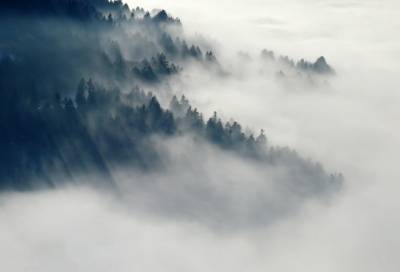 Туман и повышенная опасность вновь нависнут над дорогами Ленобласти