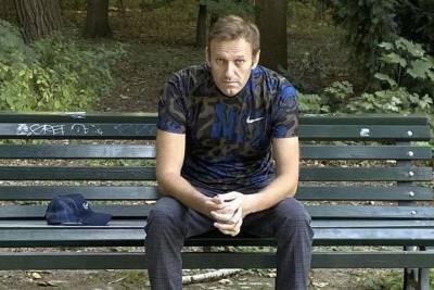 Навальный проходит курс реабилитации в Шварцвальде