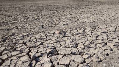 Ученые изобрели аппарат для получения воды в пустыне