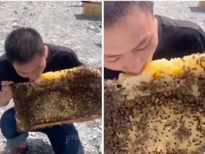 Парень, поедающий мед на пасеке в прикуску с пчелами стал героем Сети