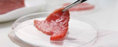 Ученые доказали пользу искусственно выращенного мяса