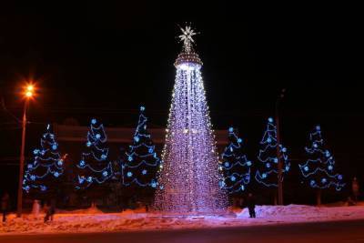 В Шарье городские власти задумались о покупке новогодней ёлки