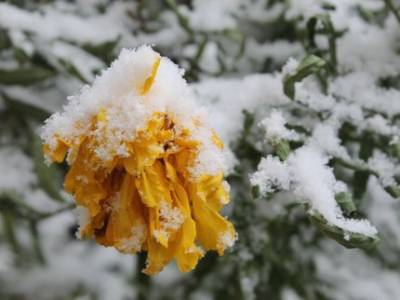 Дождь со снегом и сильный ветер: Какая погода ожидается в Башкирии в грядущие выходные