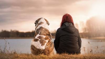 Ученые нашли общую психологическую особенность у собак и человека