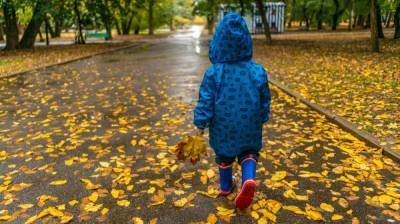 Метеорологи пообещали дождливые и ветреные выходные в Воронежской области