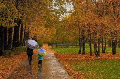 В Украину вернулись дожди и ветер: какие области накроет непогода в конце рабочей недели