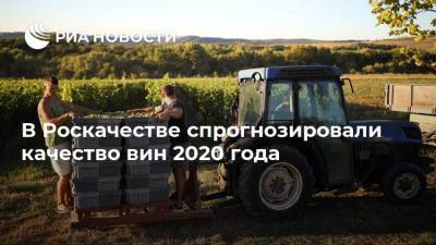 В Роскачестве спрогнозировали качество вин 2020 года