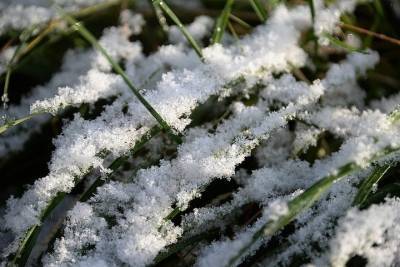 Долгожданный первый снег татарстанцев порадует уже в выходные