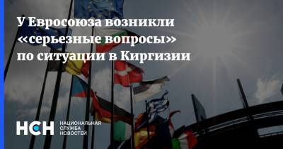 У Евросоюза возникли «серьезные вопросы» по ситуации в Киргизии