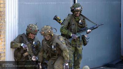 Швеция увеличит расходы на оборону из-за России