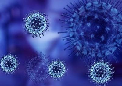 Число жертв коронавируса в Рязанской области достигло 55