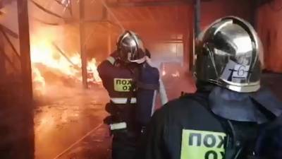 В Нижнем Новгороде полыхает масштабный пожар. Видео