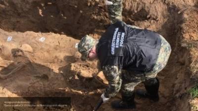 Останки сотен погибших в годы ВОВ нашли в Ростовской области