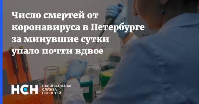 Число смертей от коронавируса в Петербурге за минувшие сутки упало почти вдвое
