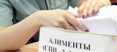 Алиментщица в Карелии задолжала своему ребенку 300 тысяч рублей
