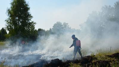 В Челябинской области из-за лесных пожаров введен режим повышенной готовности