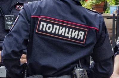 Московская полиция нашла пропавшую в среду 12-летнюю девочку