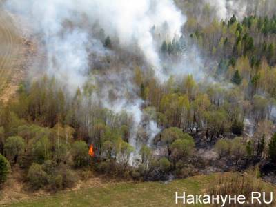 На Южном Урале введен режим повышенной готовности из-за лесных пожаров