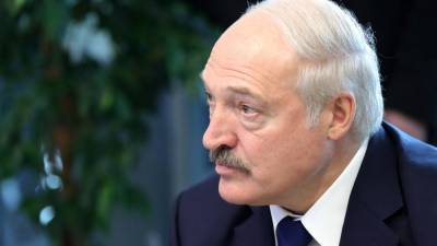 Политолог рассказал, какие проблемы Украина может доставить Белоруссии