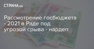 Рассмотрение госбюджета - 2021 в Раде под угрозой срыва - нардеп