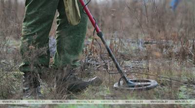 В Оршанском районе женщина нашла в лесу боеприпасы