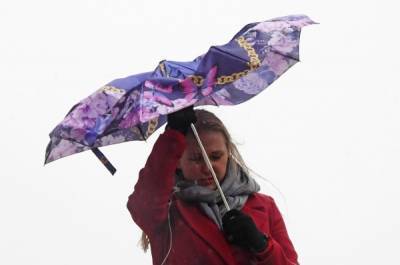 Синоптики обещают сильный ветер и мокрый снег на выходных в Центральной России