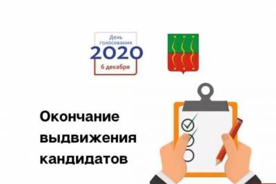 Пять кандидатов претендуют на пост главы Великолукского района