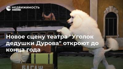 Новое сцену театра "Уголок дедушки Дурова" откроют до конца года
