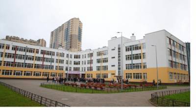 Вице-губернатор рассказала, почему в Петербурге не закрывают школы из-за угрозы распространения коронавируса