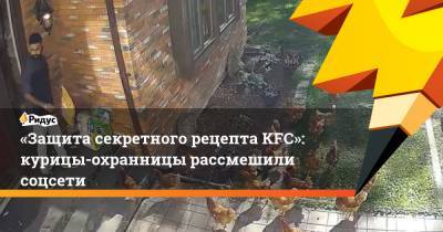 «Защита секретного рецепта KFC»: курицы-охранницы рассмешили соцсети