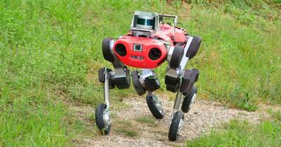 Четвероногие роботы получили собственные колеса