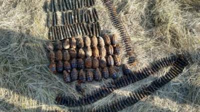 Гранаты, артиллерийские снаряды и патроны: на Луганщине нашли два схрона с боеприпасами