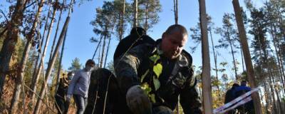 В Северном лесу в Воронеже высадили 300 саженцев берез